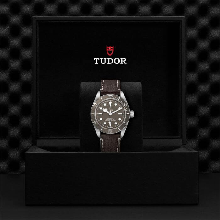 tudor black bay fifty eight 925 on brown leather strap m79010sg 0001lPF5