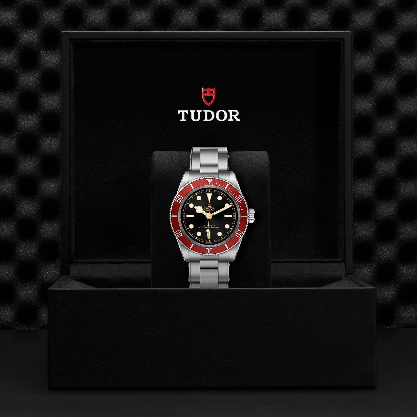 TUDOR Black Bay 41MM Steel with Burgundy Bezel - Walker Luxury 